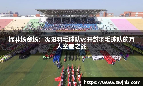 标准场赛场：沈阳羽毛球队vs开封羽毛球队的万人空巷之战